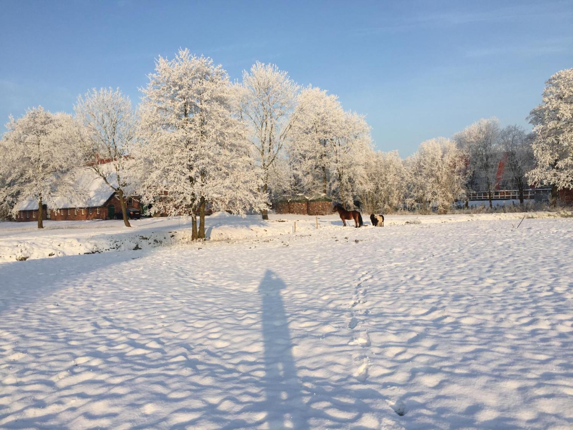 Ferienwohnung Suderfeld Brake  Exteriér fotografie