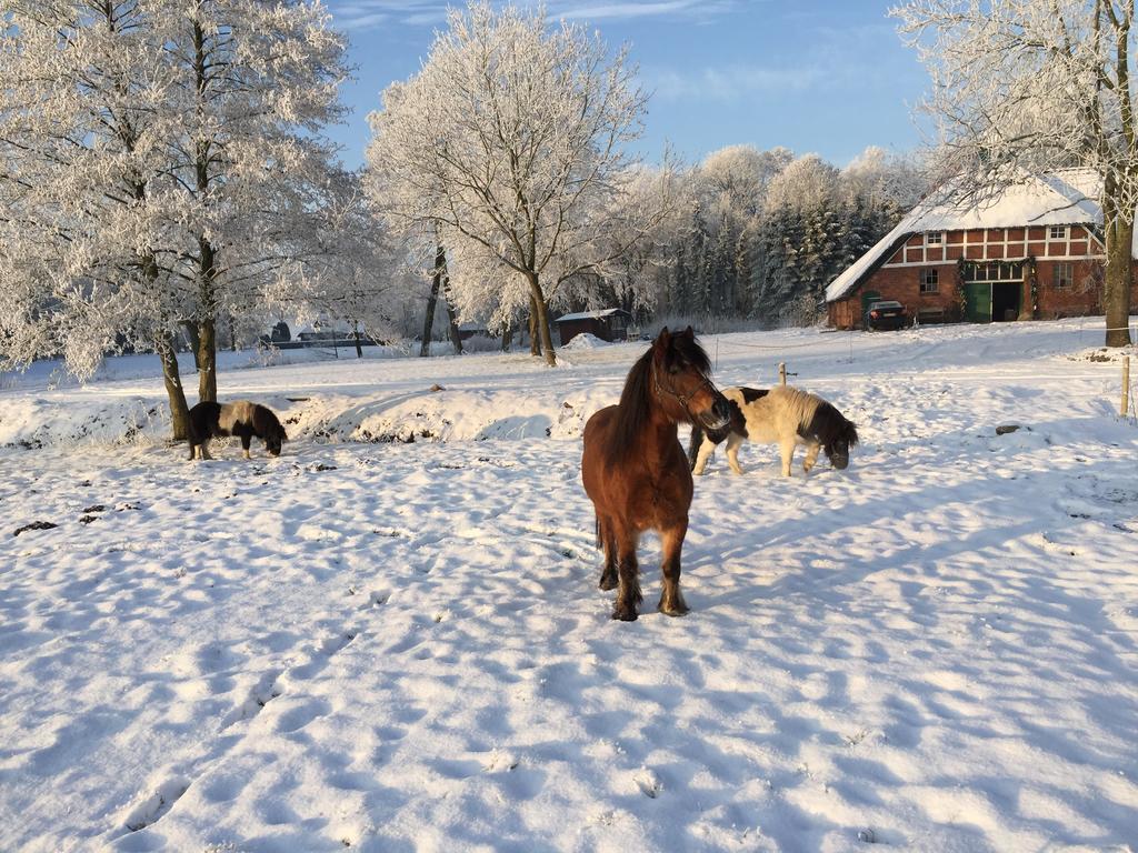 Ferienwohnung Suderfeld Brake  Exteriér fotografie