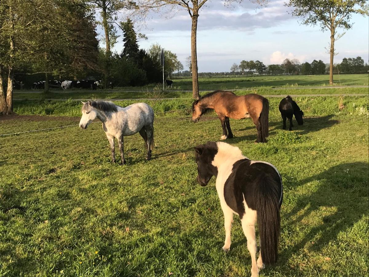 Ferienwohnung Suderfeld Brake  Exteriér fotografie